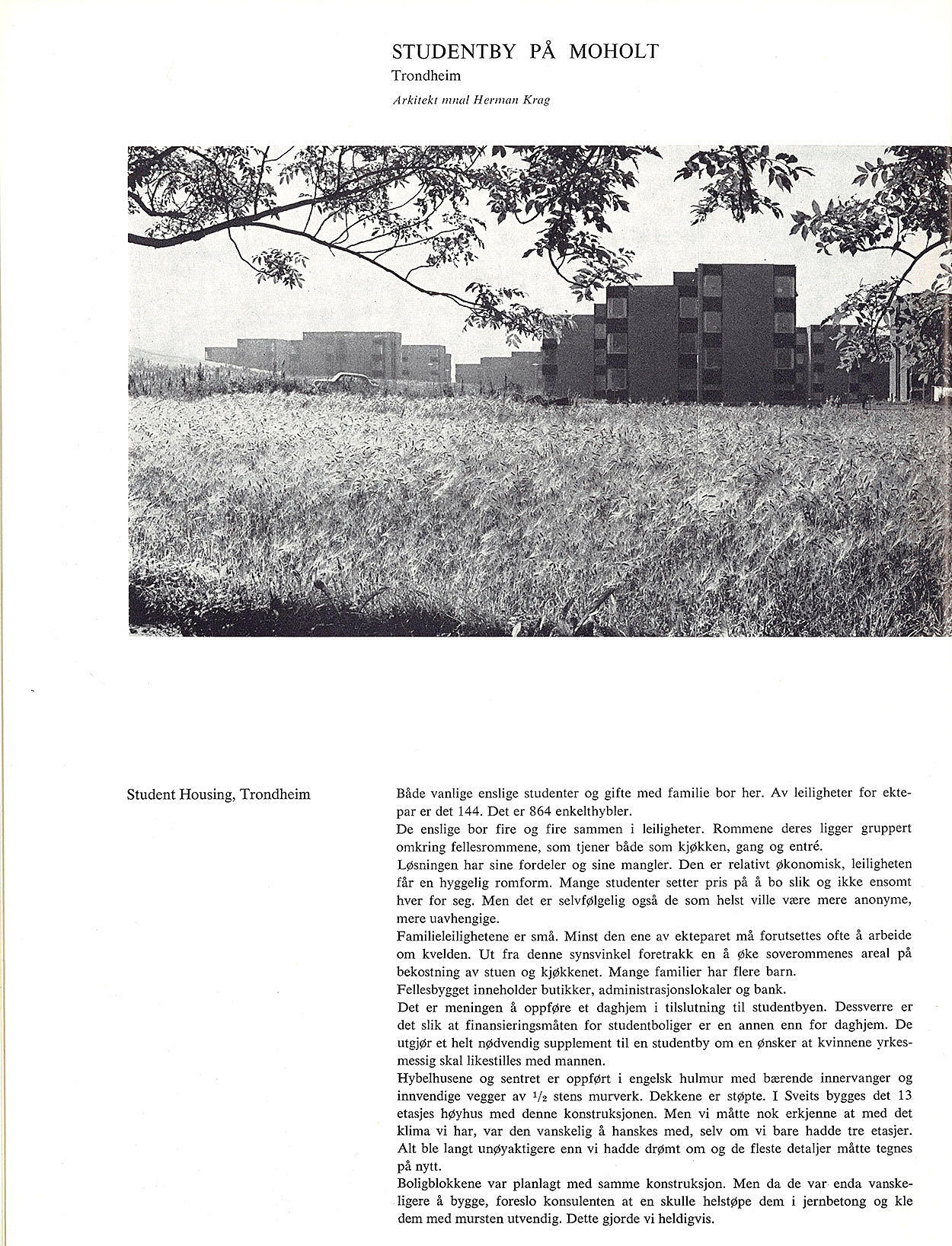 Studentbyen på Moholt, Trondheim