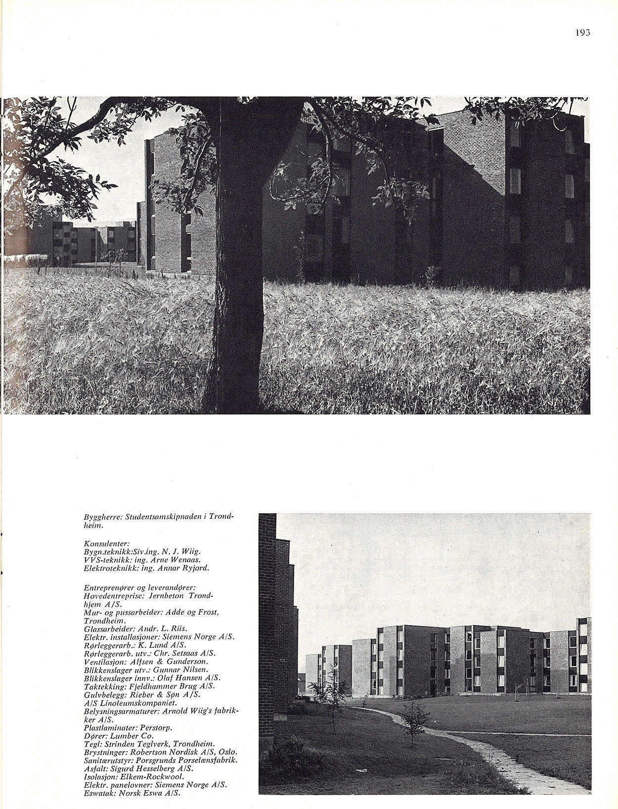 Studentbyen på Moholt, Trondheim