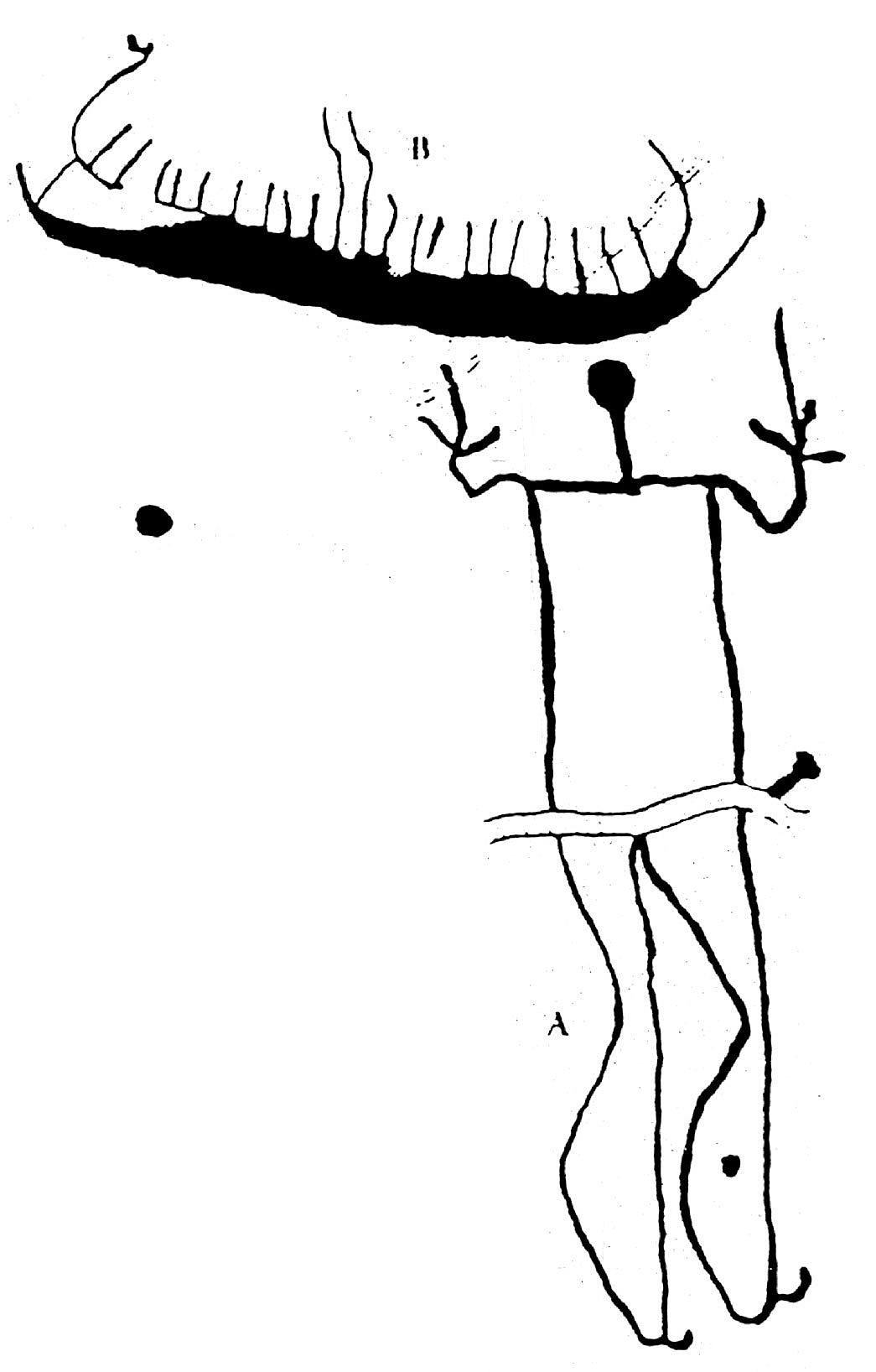 Bronsealderens båtstevn