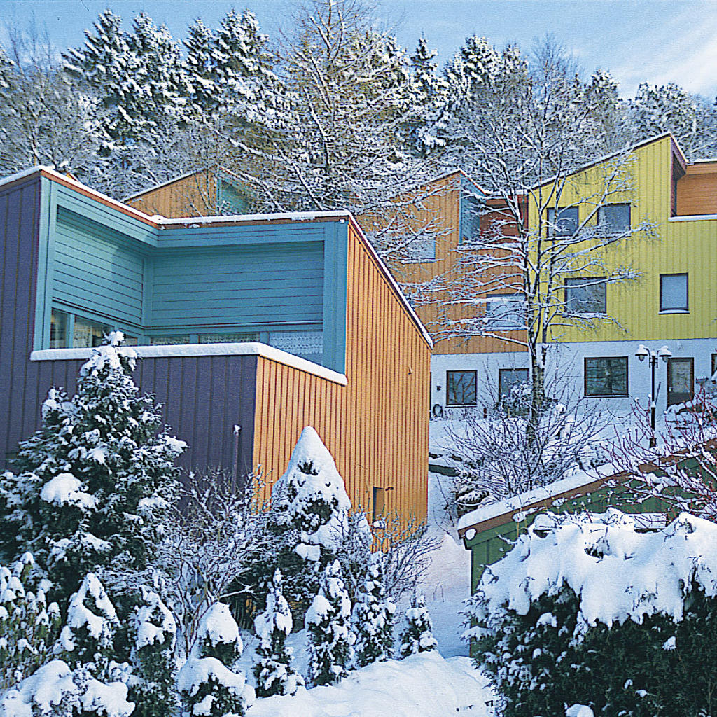 Fargesetting for Selegrend borettslag