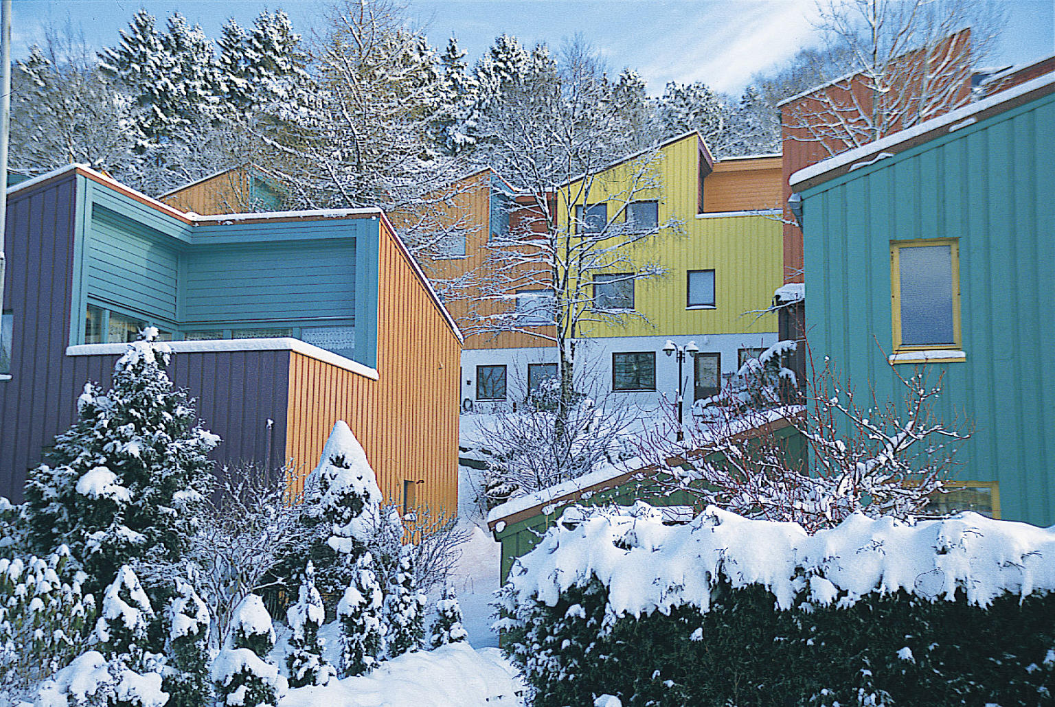 Fargesetting for Selegrend borettslag