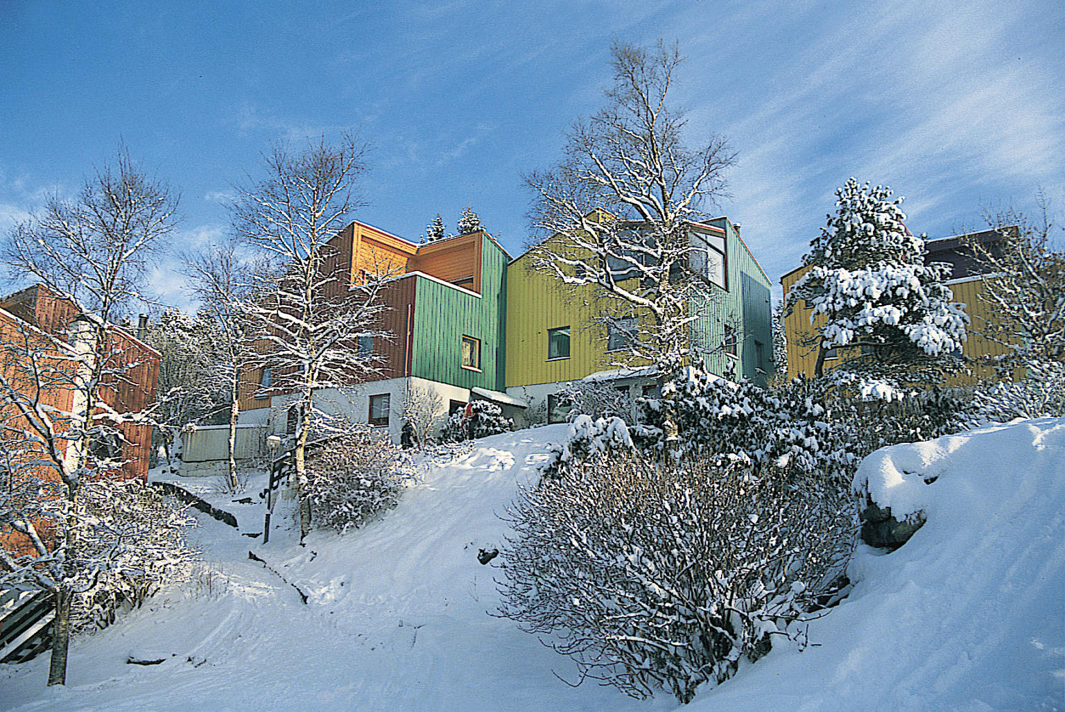 Fargesetting for Selegrend borettslag