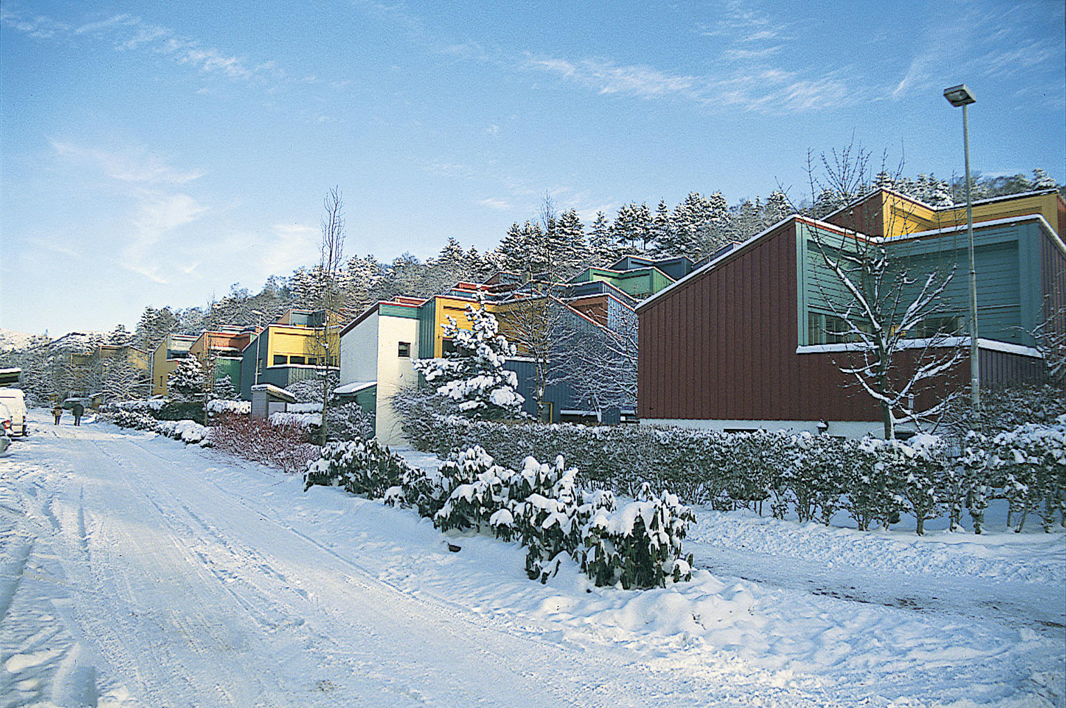 Fargesetting for Selegrend borettslag