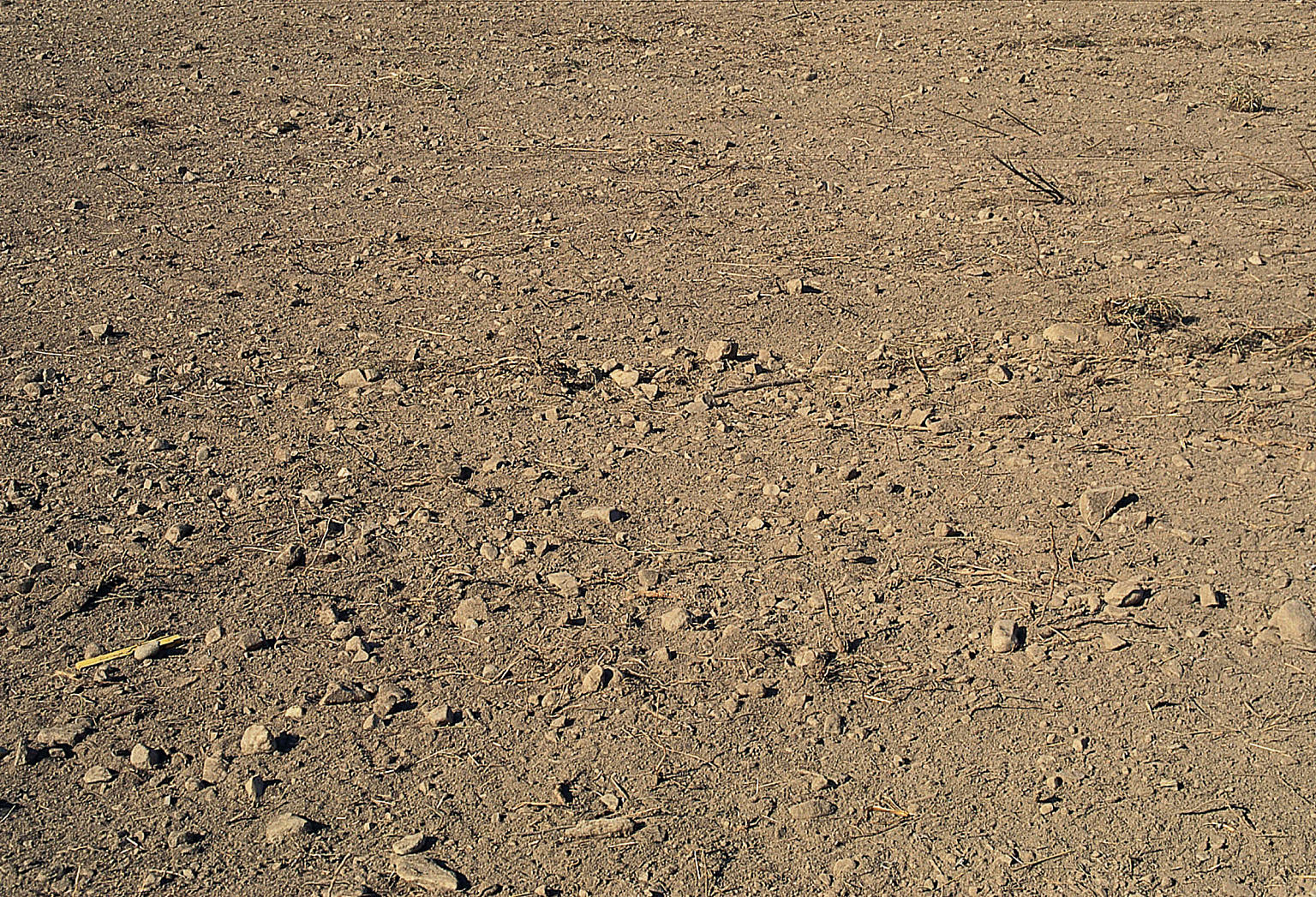 Det er gammel åkermark, og jorden er etter sigende av god kvalitet. Mye stein som holder på varmen.