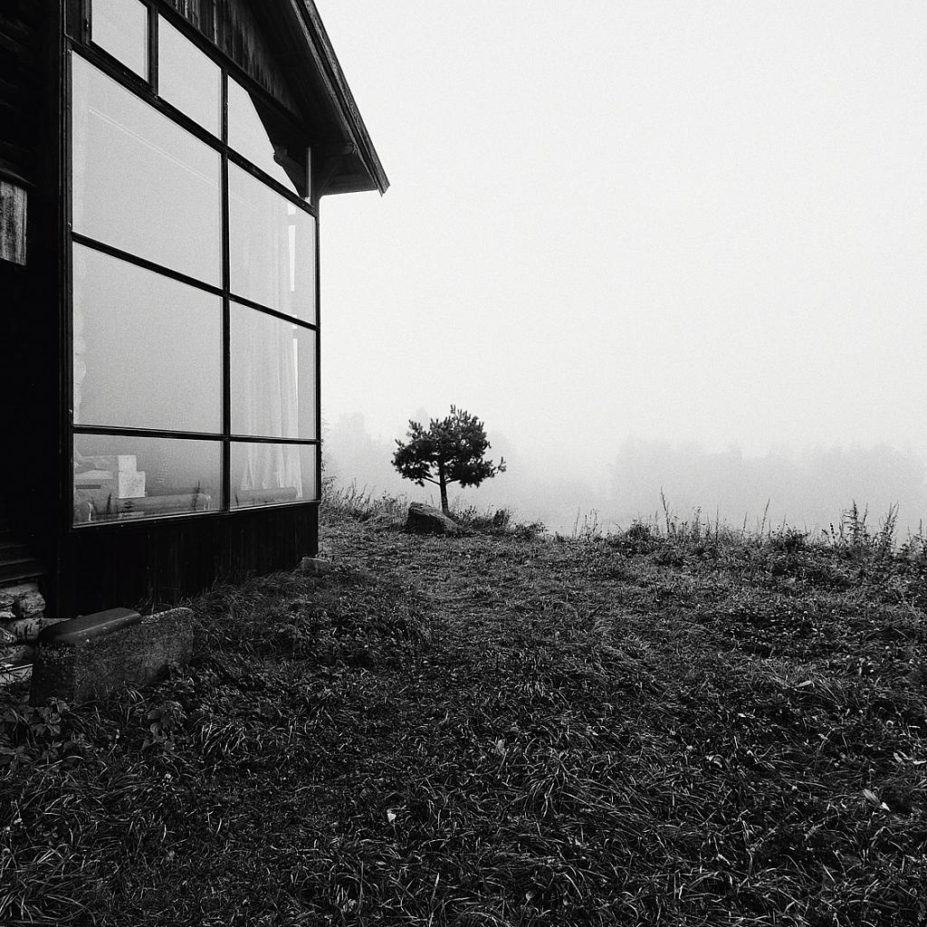 Låvens vestfasade med nytt vindusparti. Foto: Rickard Riesenfeldt