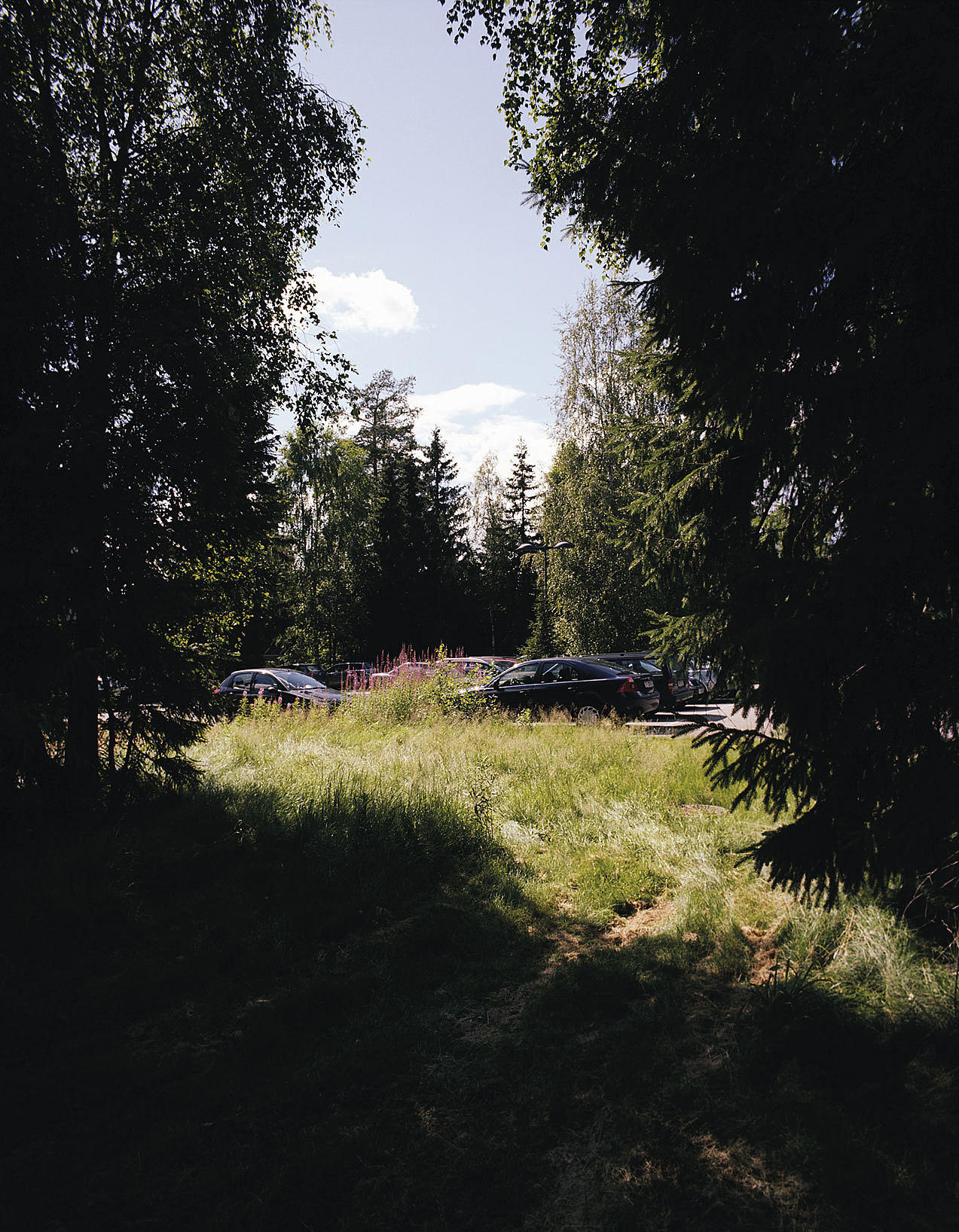 Markparkering sett fra gangveien. Foto: Ivan Brodey