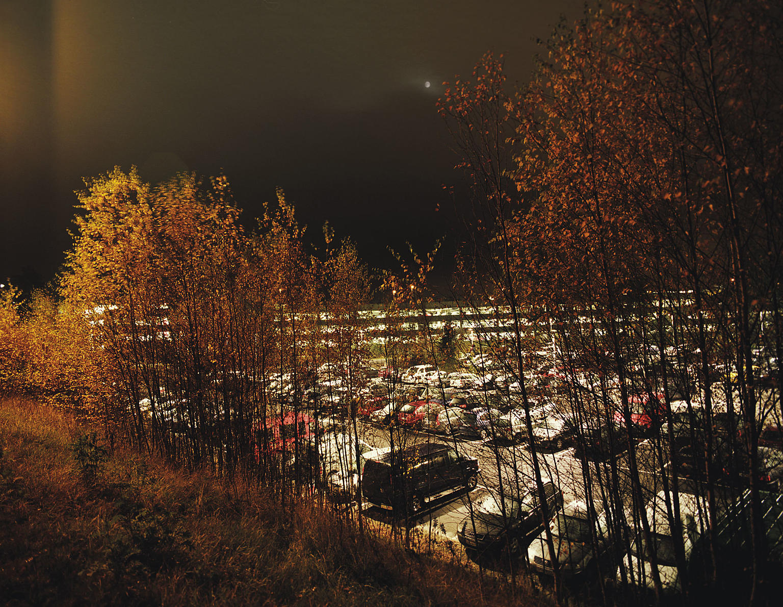 Markparkering.
Foto: Ivan Brodey