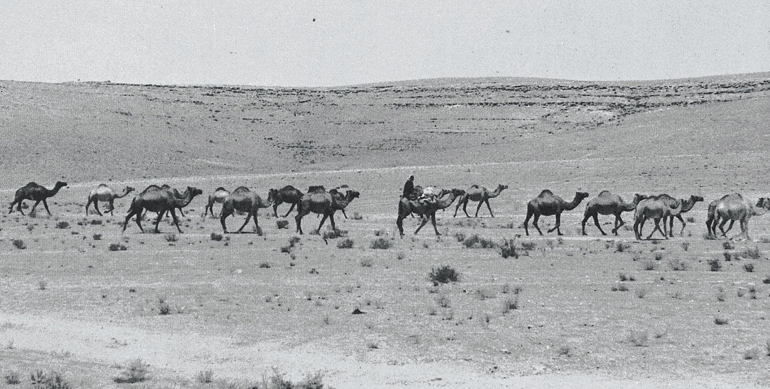 Ørkenregionenes kosmiske landskap. Fra Christian Norberg-Schulz: Genius loci, s. 48.