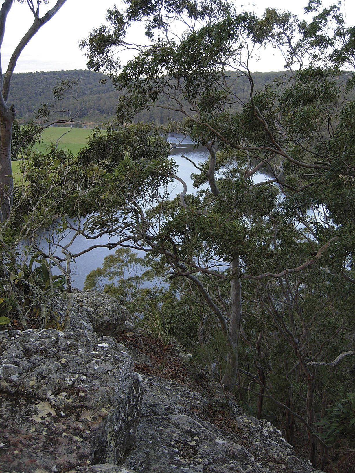 Shoalhaven River. Foto: Ingerid Helsing Almaas