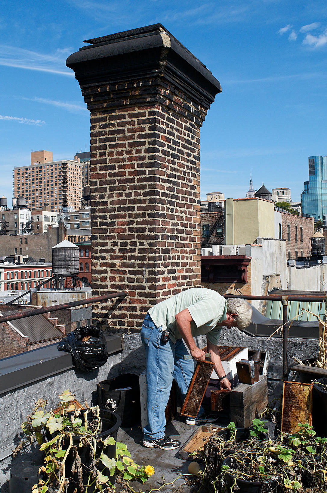 David Graves lager syltetøy og geleer på gården sin i Massachusets. På 1990-tallet begynte han som en av de første å sette ut bikuber på takene i New York, noe som ble forbudt i 1999. Foto: Are Carlsen