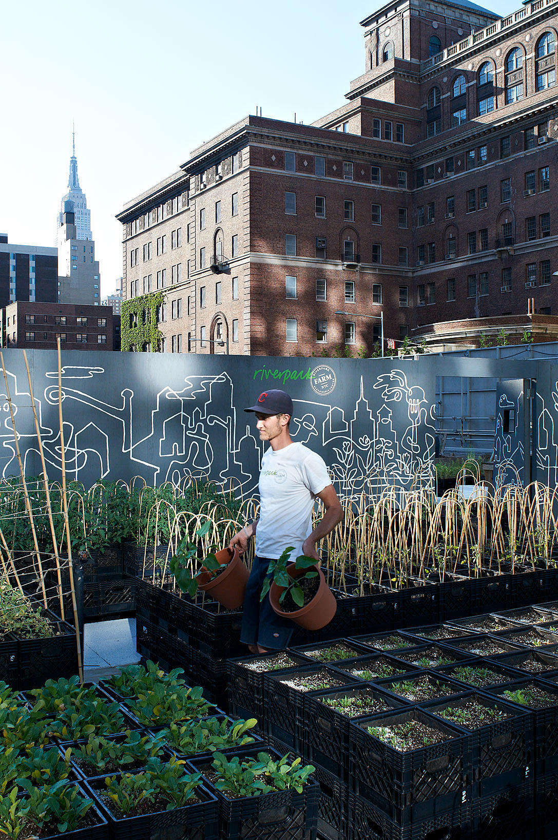 Riverpark Farm, East 29th Street, Manhattan. Gartneriet drives av to fast ansatte urban farmers. Foto: Are Carlsen