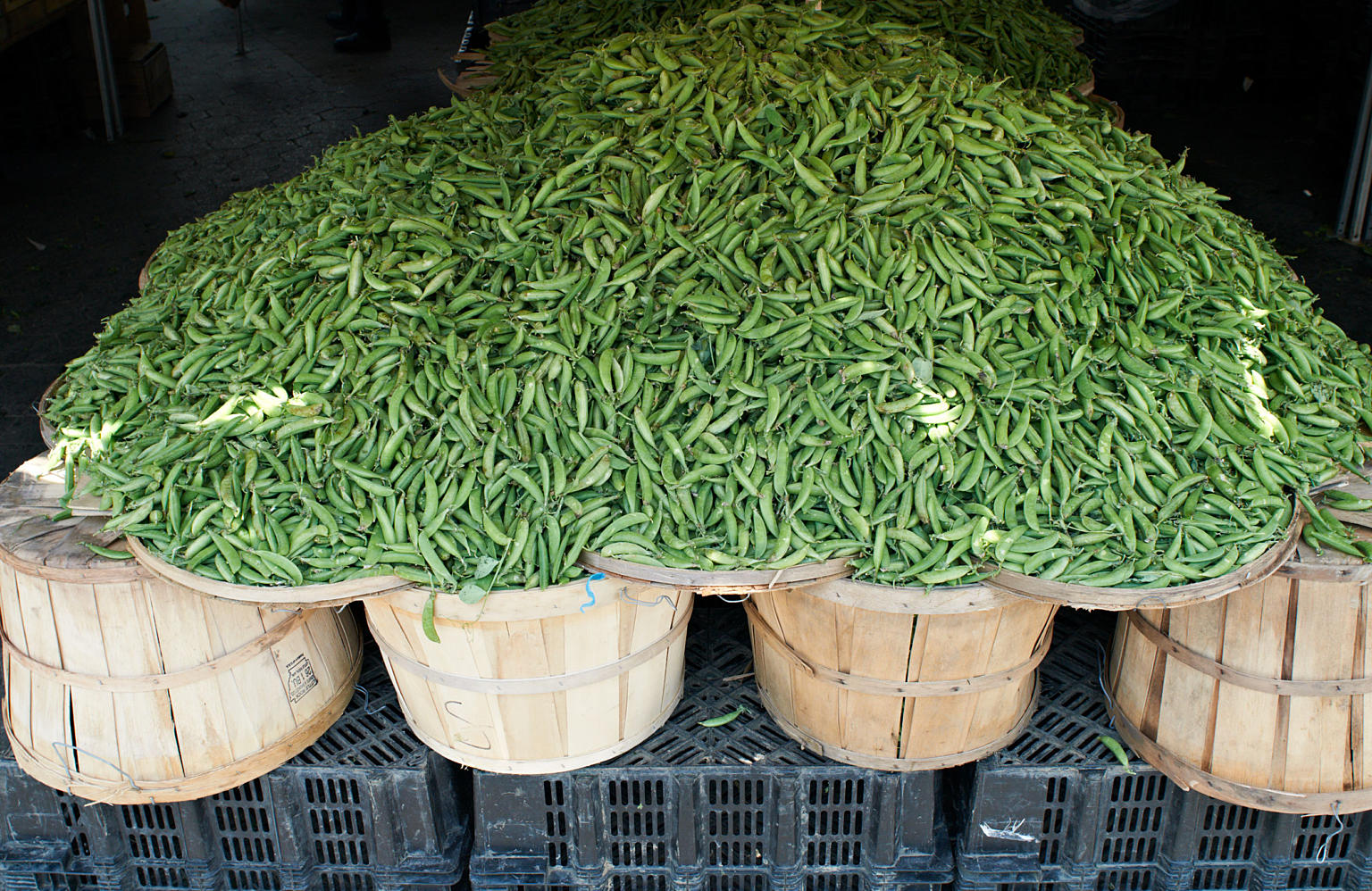 Bønner til salgs på Union Square greenmarket. Midt på Manhattan, på 14. gate mellom Park Avenue og Broadway, er det torghandel fire dager i uken. Hoveddelen av det som selges der kommer fra delstaten New York – gjennomsnittlig avstand mellom marked og produsent er 140 kilometer. Foto: Are Carlsen