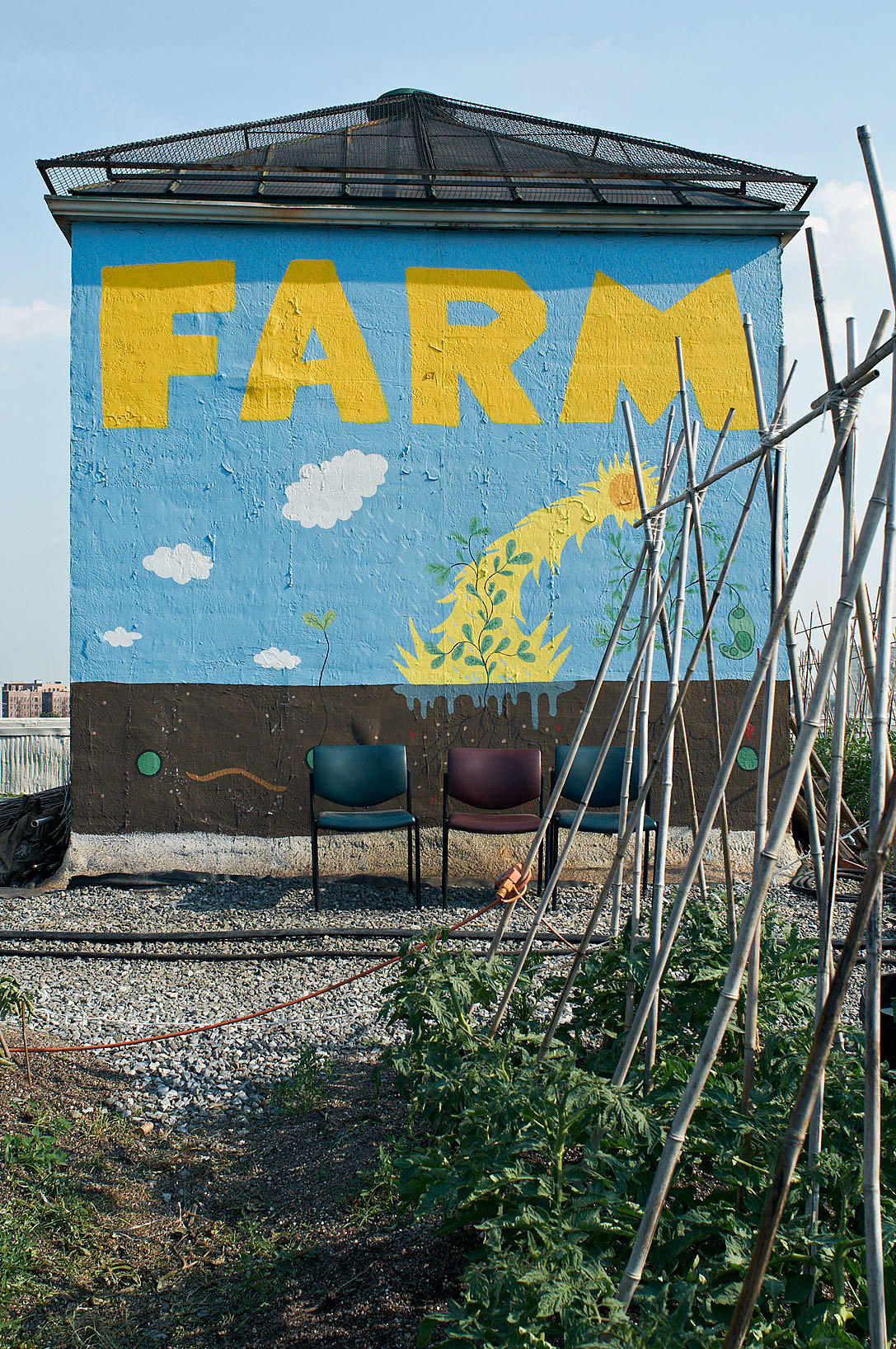 Brooklyn Grange, Queens. Takbøndene har ikke problemer med skadedyr som kaniner eller rådyr, men avlingen må beskyttes mot vinden, som kan bli sterk der oppe. Foto: Are Carlsen