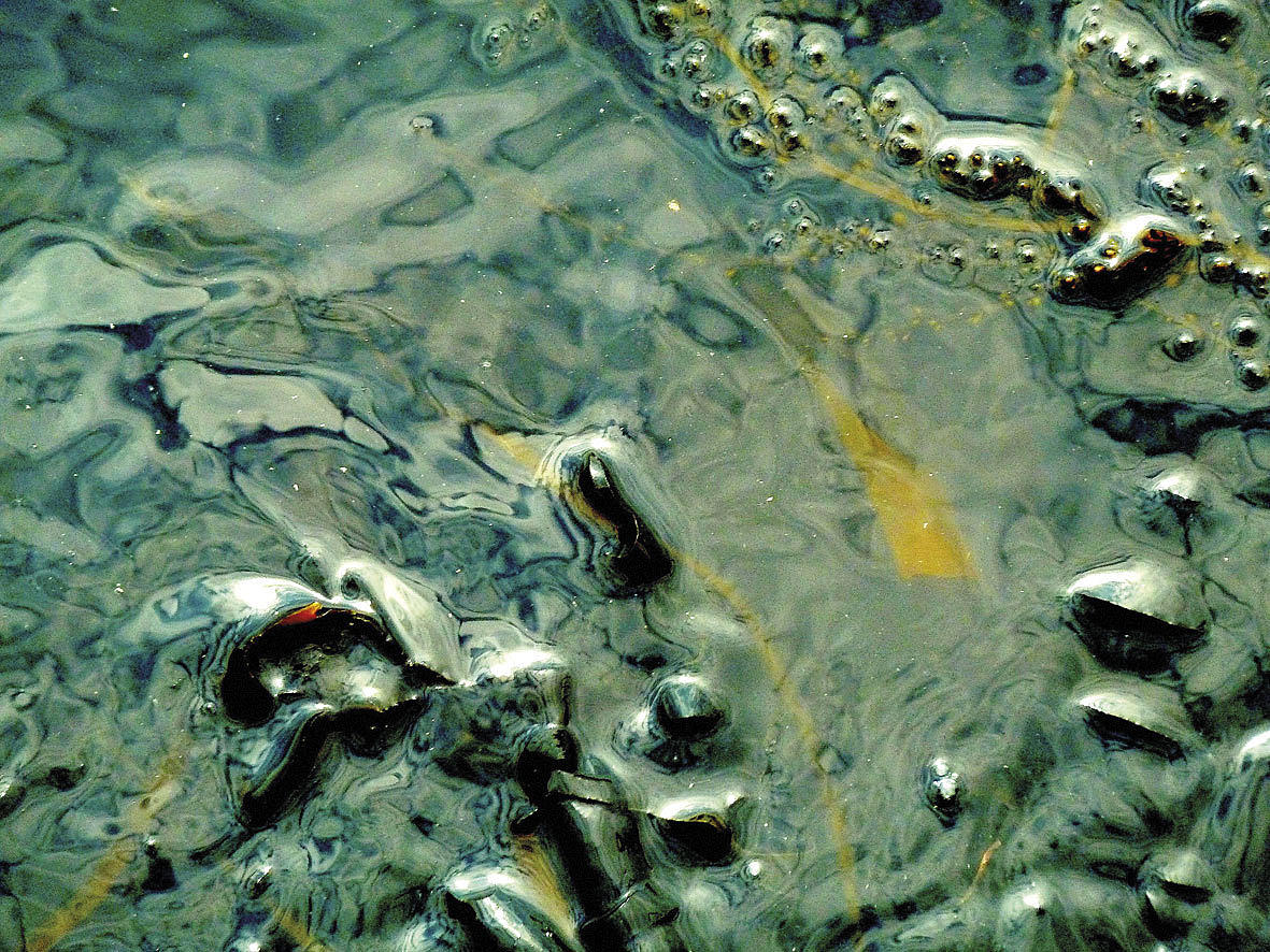 Den biologiske naturen. Rachel Armstrongs algeboblesuppe.