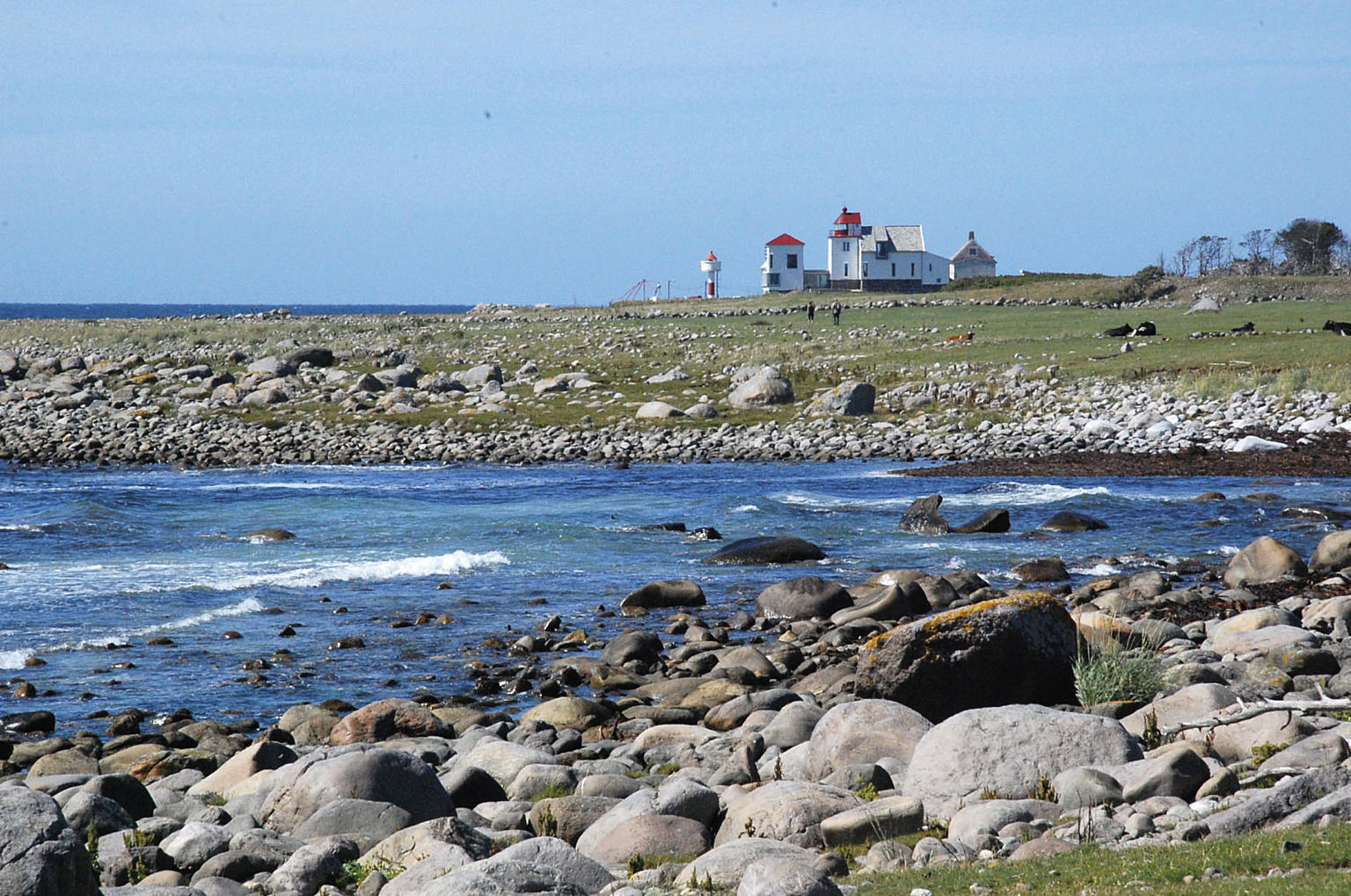 Fyranleggets bevaringsverdige fjernvirkning.