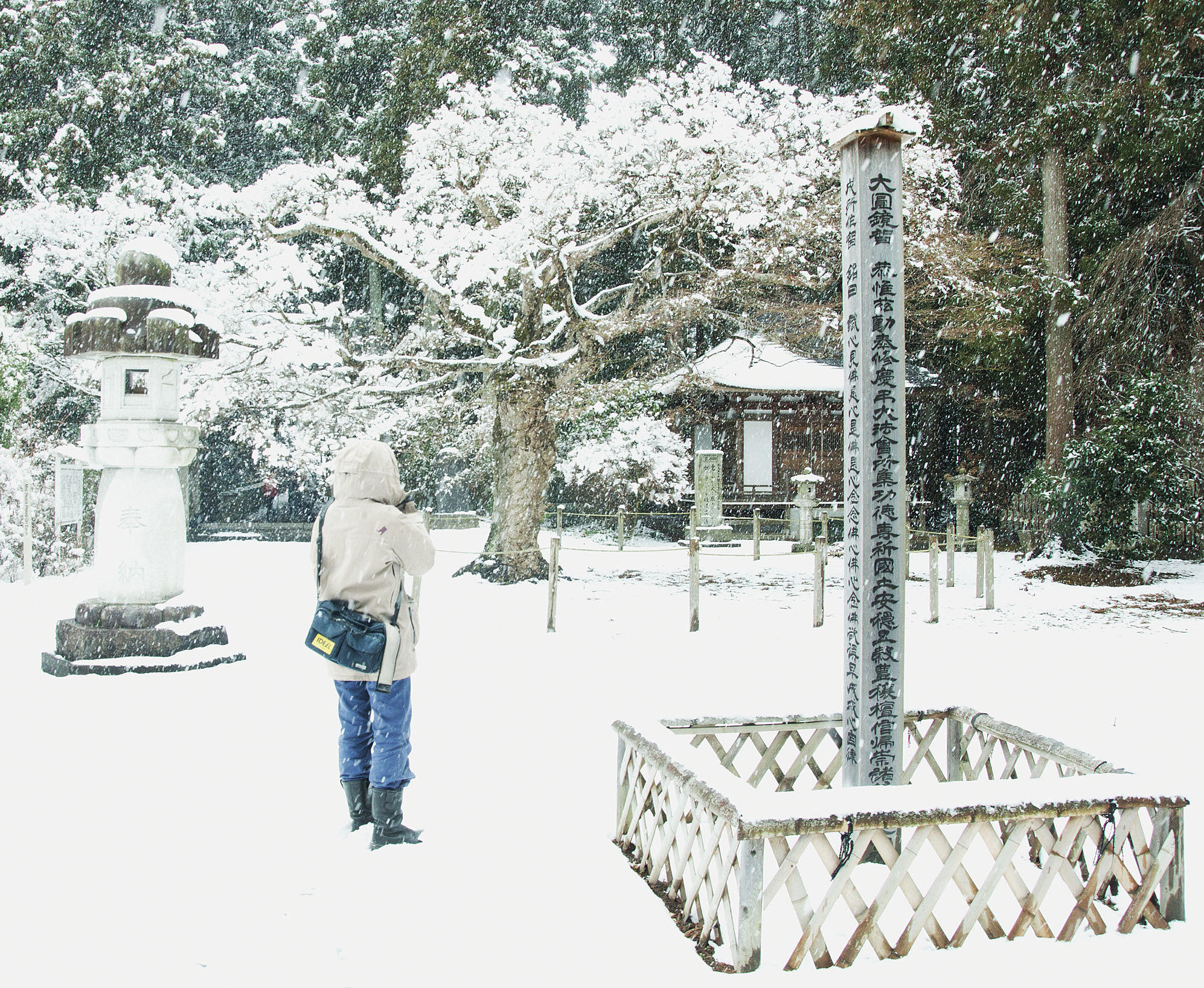 Utenfor et tempel på østkysten, nær kjernekraftverket som eksploderte. Beboerne i nærheten ble evakuert, og maks oppholdstid her er i dag satt til tre timer. Det er usikkert når det blir trygt å flytte tilbake, noen sier om minst 30 år. Vegetasjonen i området er påfallende gammel, med opptil 1000 år gamle trær. Foto: Margrethe Aas