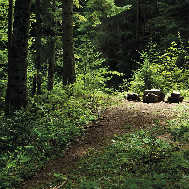 En lysning i skogen, Vitruvius' eksempel på et tilfeldig oppstått møtested, utspringet for både arkitekturen og menneskenes språk. Fra Ceahlau-massivet i Romania. Foto: Foto: freebigpictures.com