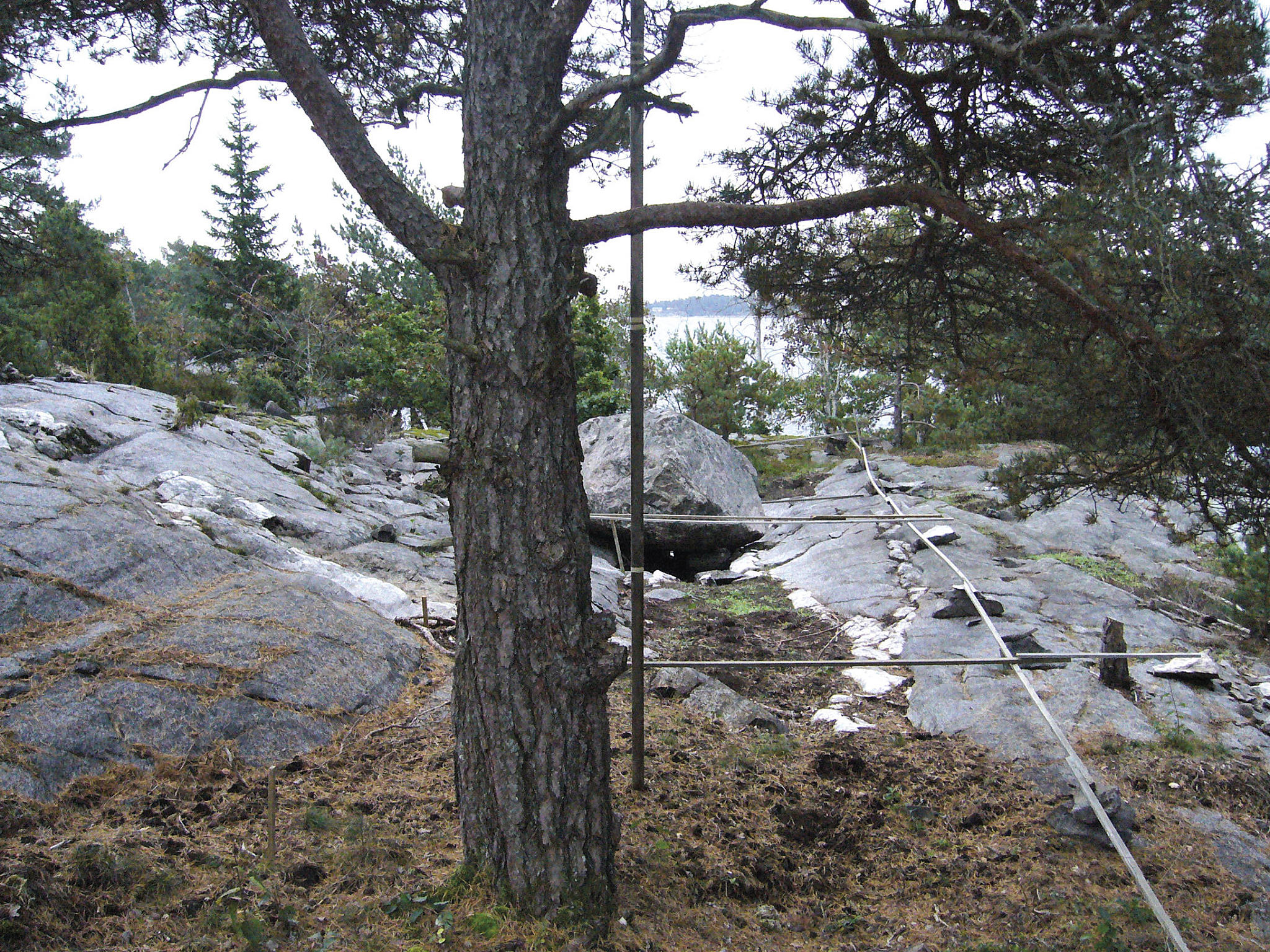 Shelter for en stein, ett tre, to mennesker og fire fugler