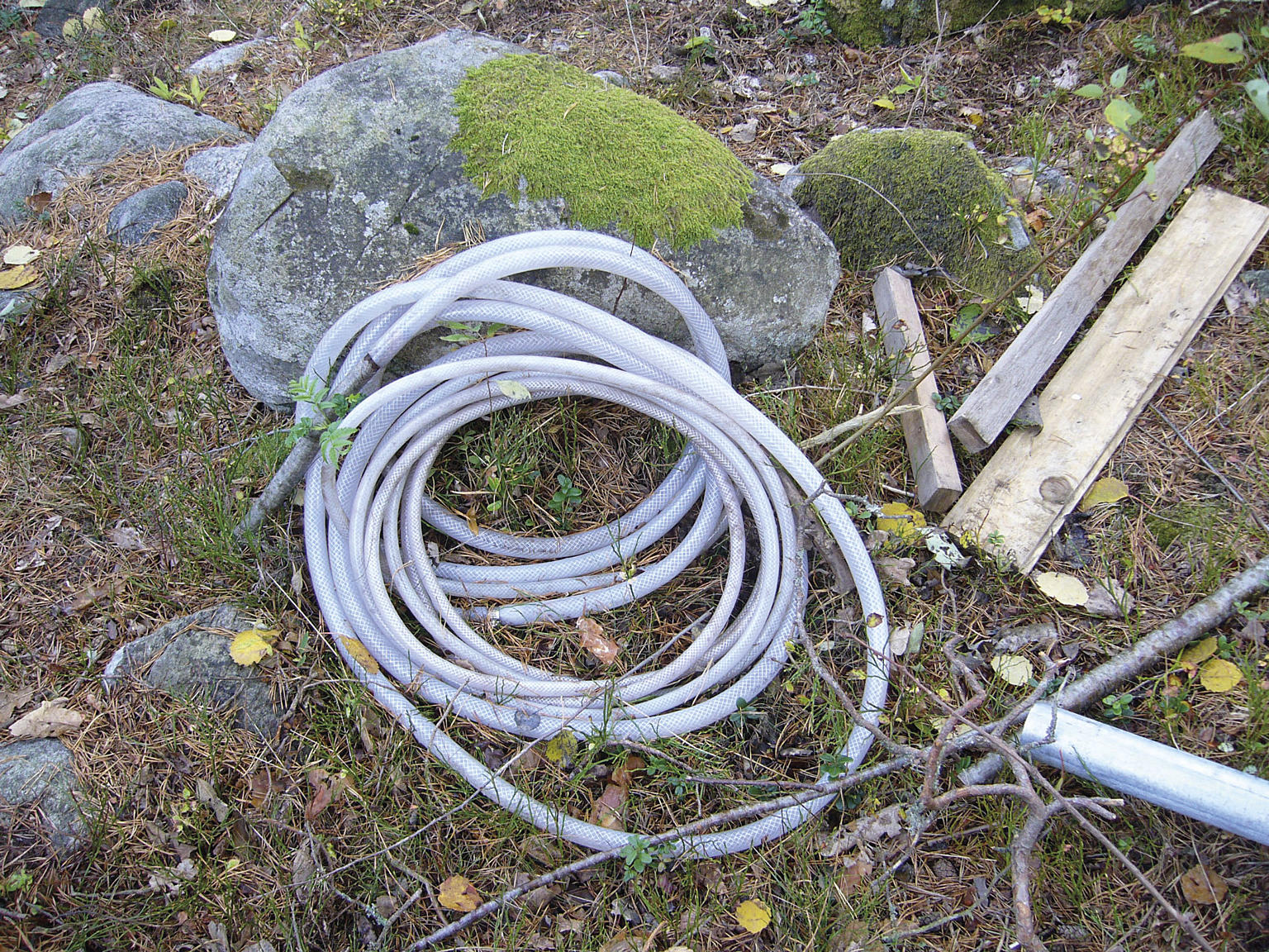 Shelter for en stein, ett tre, to mennesker og fire fugler