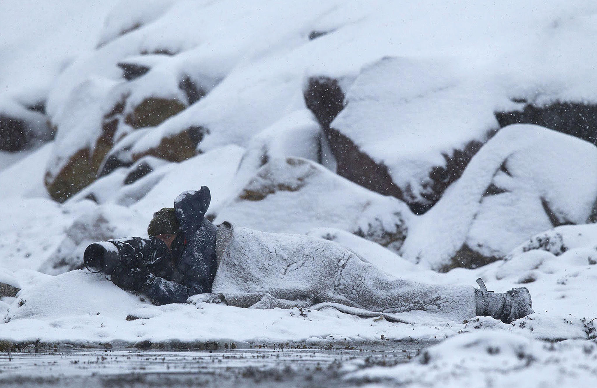 Tormod Amundsen i fjæra. Foto: Biotope