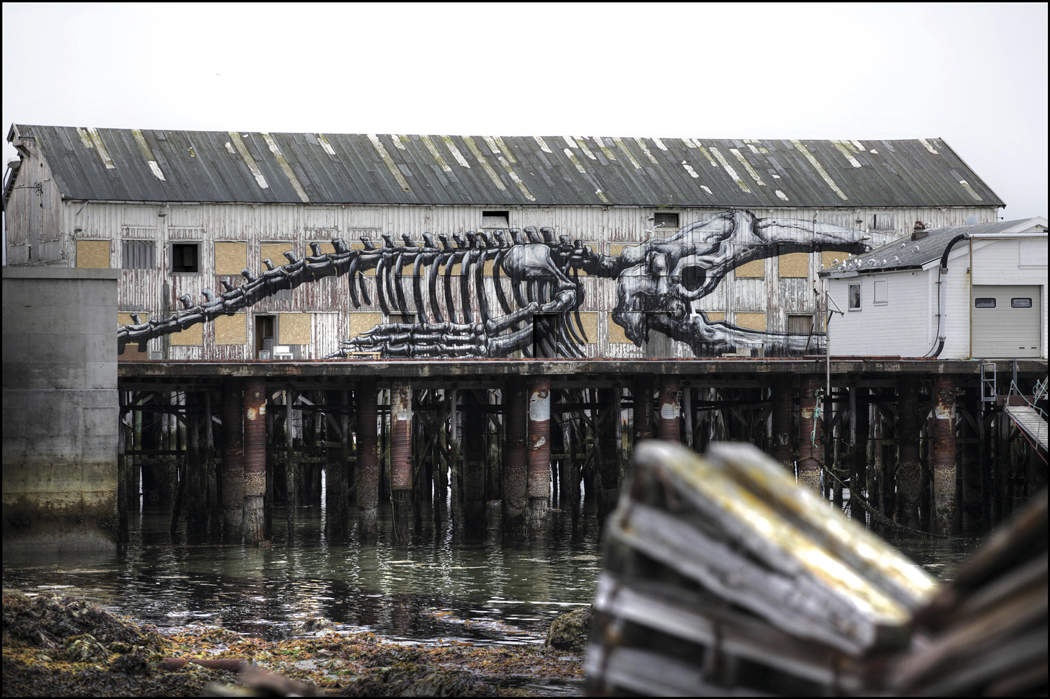 Hvalskjelett på lagerbygg i Vardø havn, vestre molobruk. Frihåndsmaleri av kunstneren Roa fra Belgia. Foto: Ian Cox