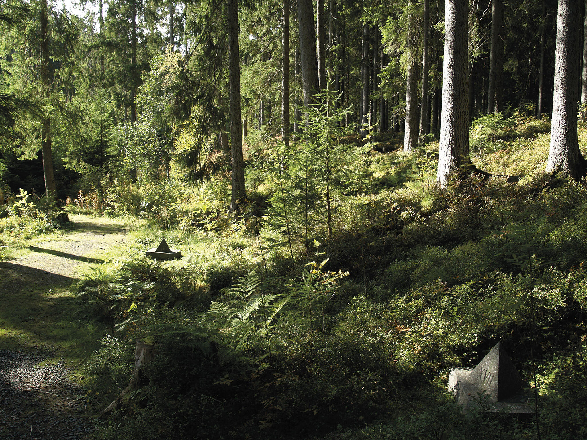 Falstadskogen og markering av tidligere gravplasser, 2008. Foto: ADS