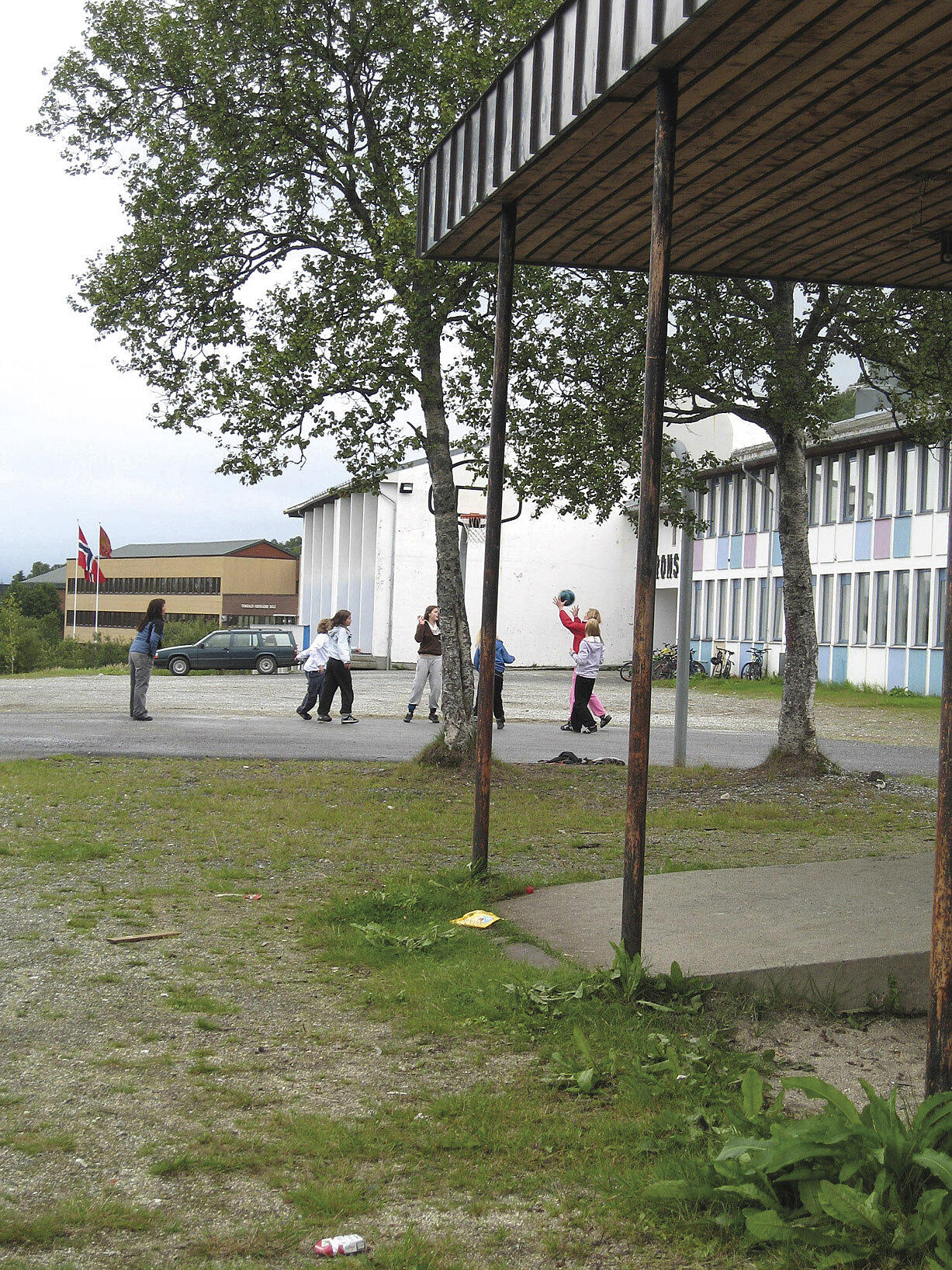 To bjørketrær ved den gamle Tromstun skole i 2007. Trærne hadde stått siden leirtiden. Foto: Norconsult