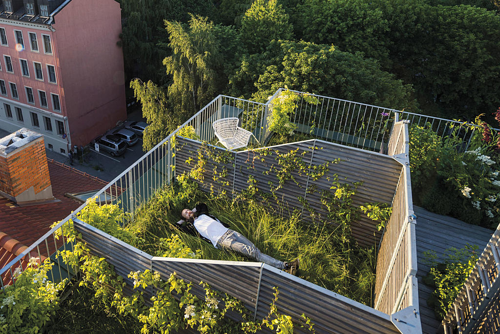 – Dette er takhager, ikke takterrasser, presiserer Vidar Knutsen, Element Arkitekter. Taket er delt opp i små private parsellhager der man for eksempel kan dyrke grønnsaker, og fellesområder.