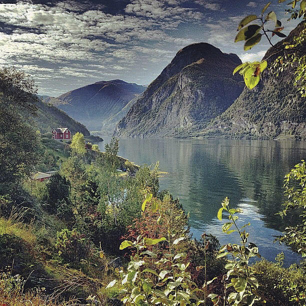 Det norske landskapet?  Foto: Billy Leahy