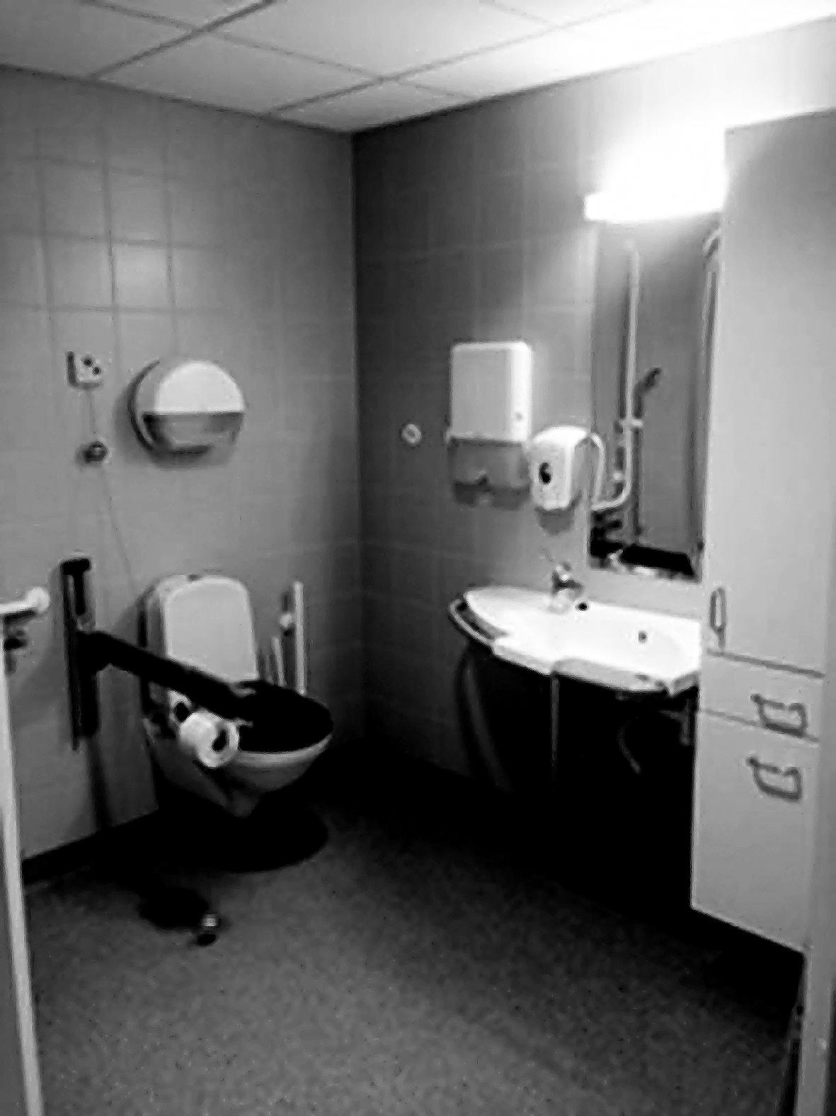 Fig. 3. Bad som gjer det relativt enkelt for bebuar å ta seg over frå toalett til servant.