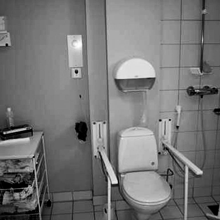 Fig. 1. Plassering av toalettpapir og skyljemekanisme. Foto: Jeanne Boge, 2014