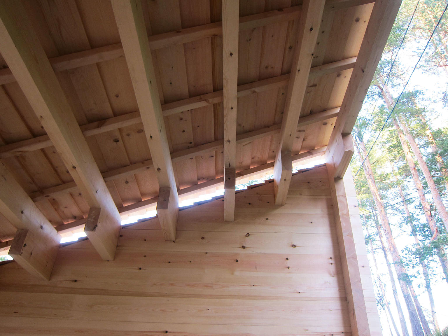 #H3 under bygging. Tretaket over mellomrommet. Takåsene er laftet inn i veggene. Foto: Bodil Reinhardsen