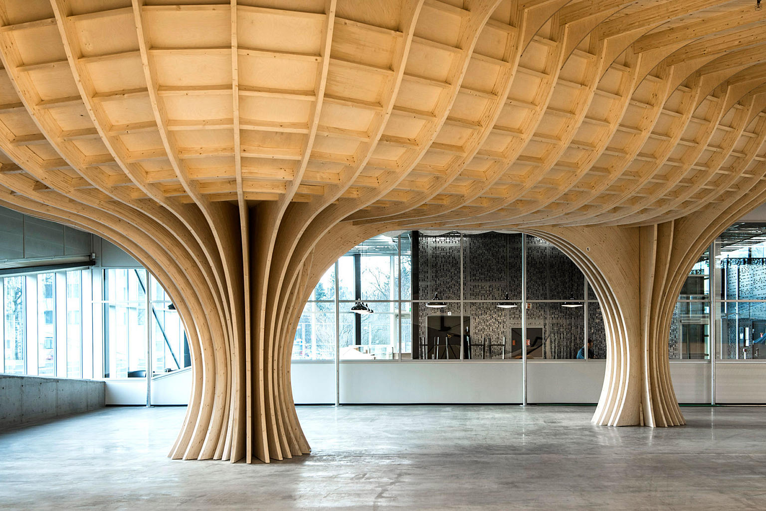 Undersiden av “The Bowl”.