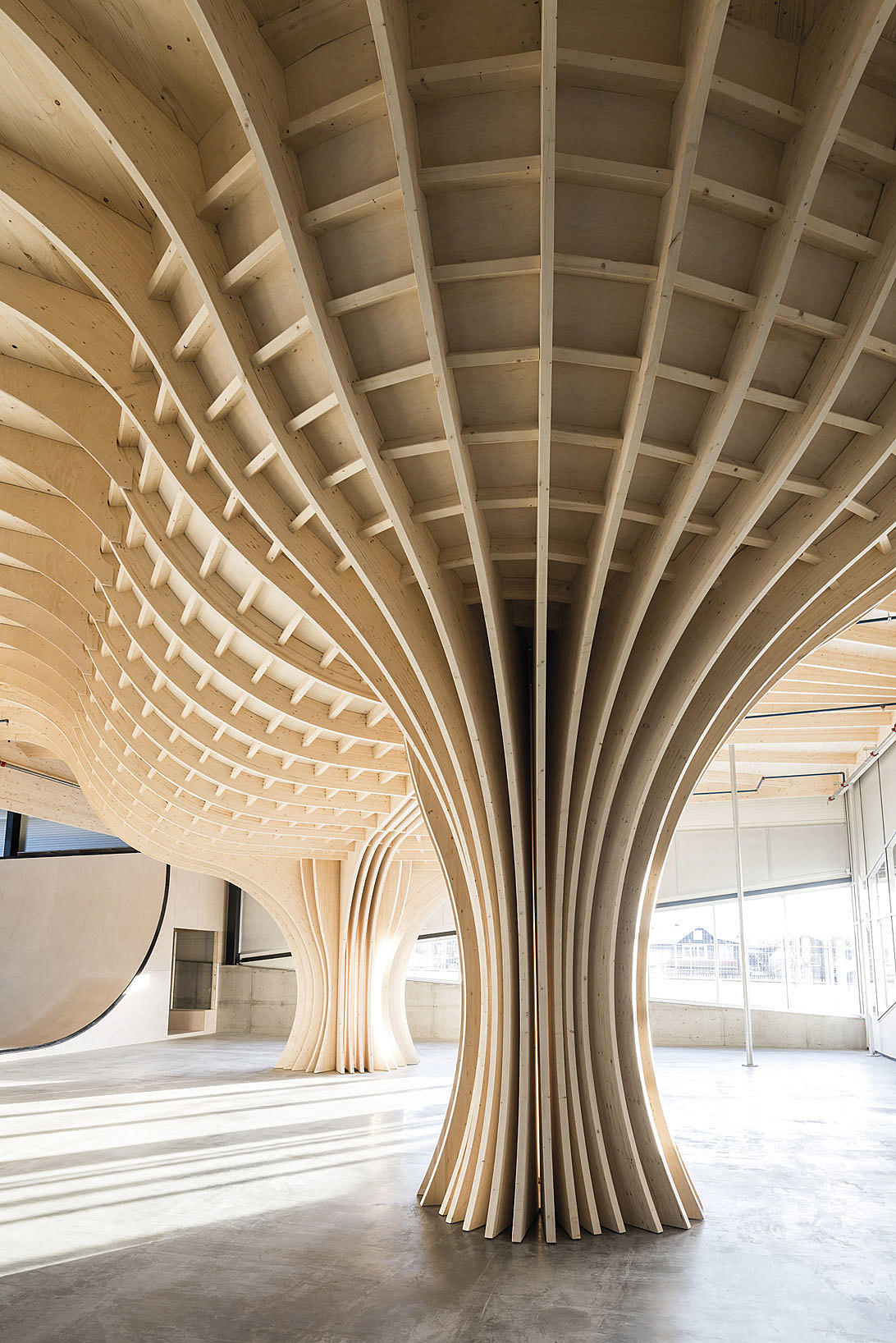 Undersiden av “The Bowl”.