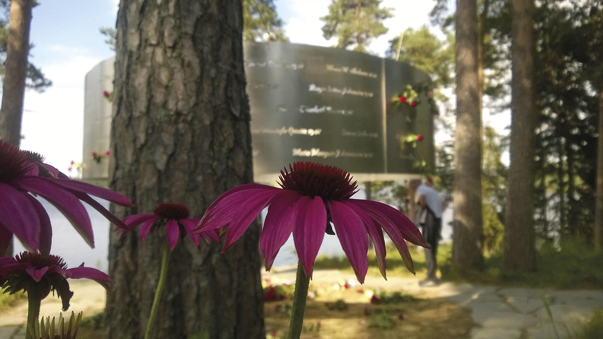 I Lysningen, minnestedet tegnet av 3RW, er det plantet blomster og busker som tiltrekker seg sommerfugler.