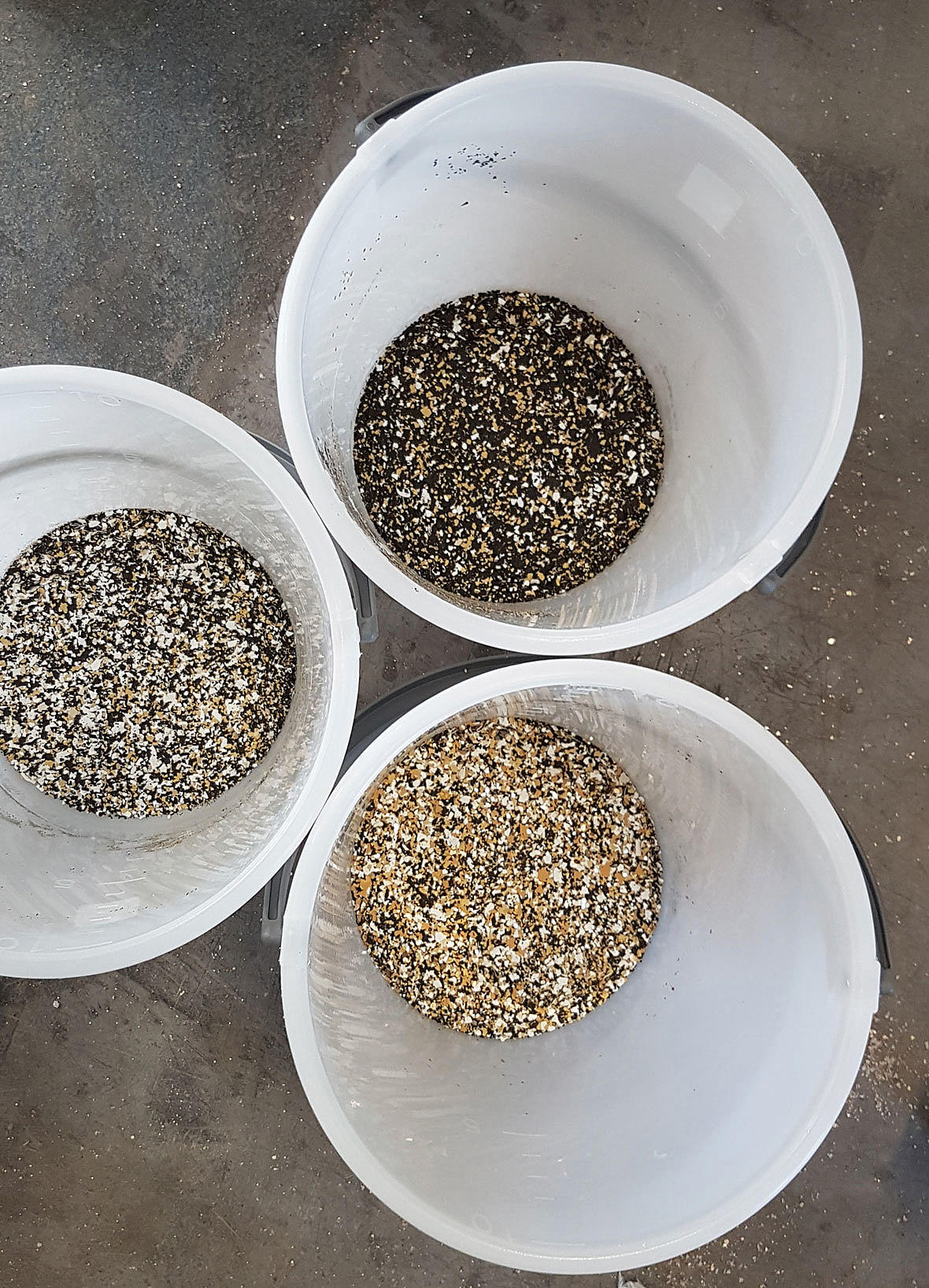 Testing. Arkitektene arbeidet med å blande prøver til Acrylgulvene, noe som også er et viktig element i alle de andre byggene på høyskolen.