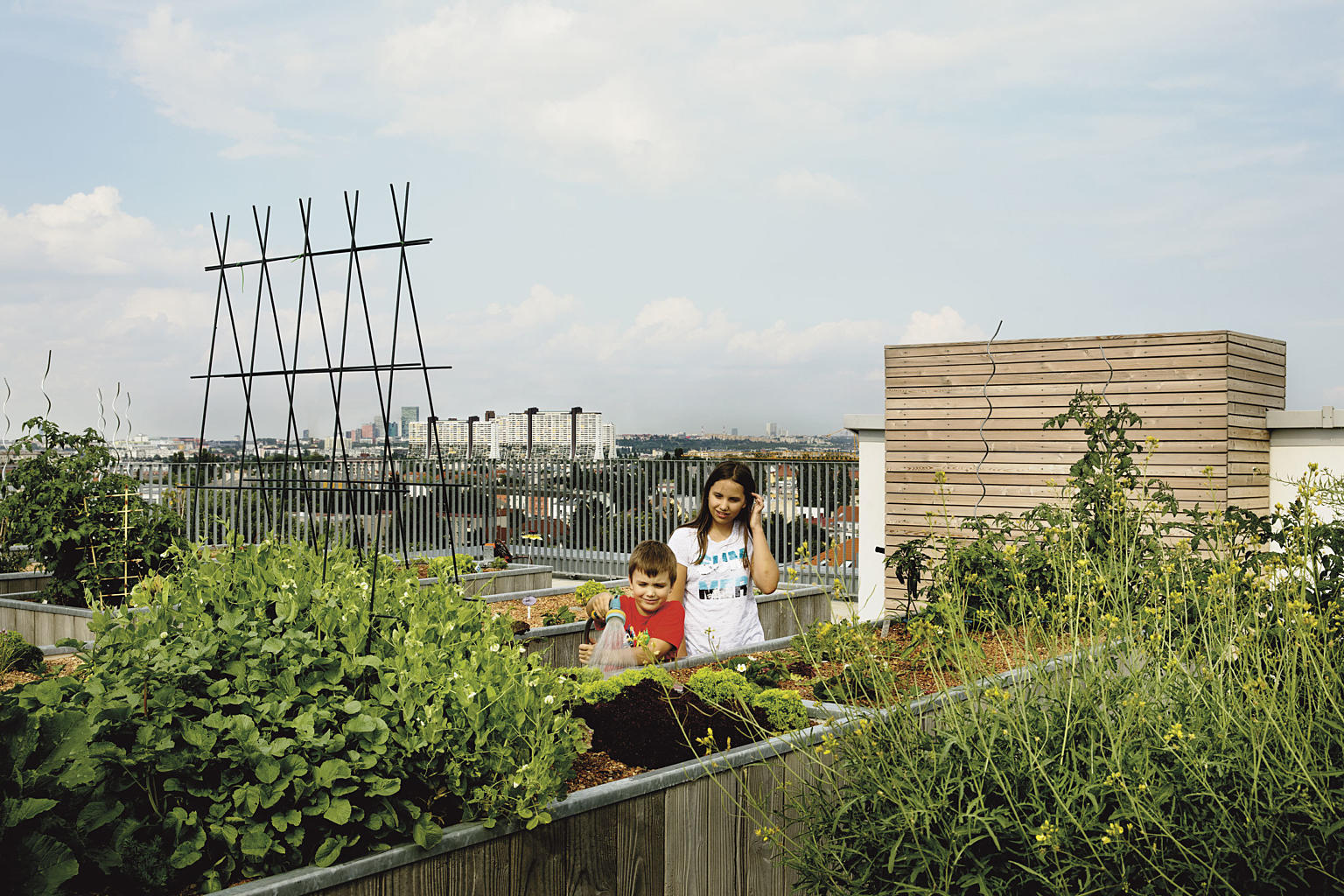 Play hard, get soft! Urbant jordbruk med utsikt over metropolen.