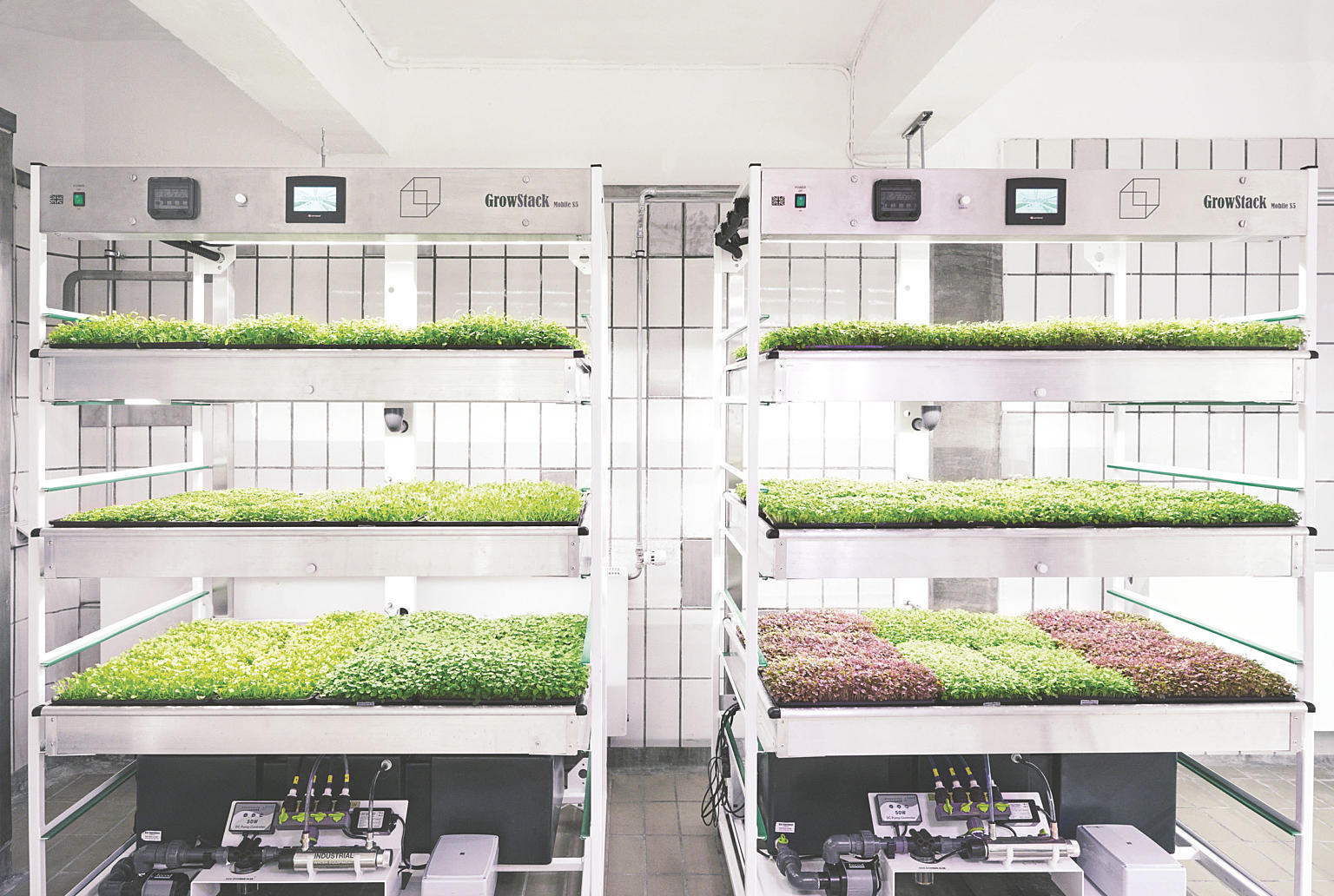 Foto: Nicklas Ingemann