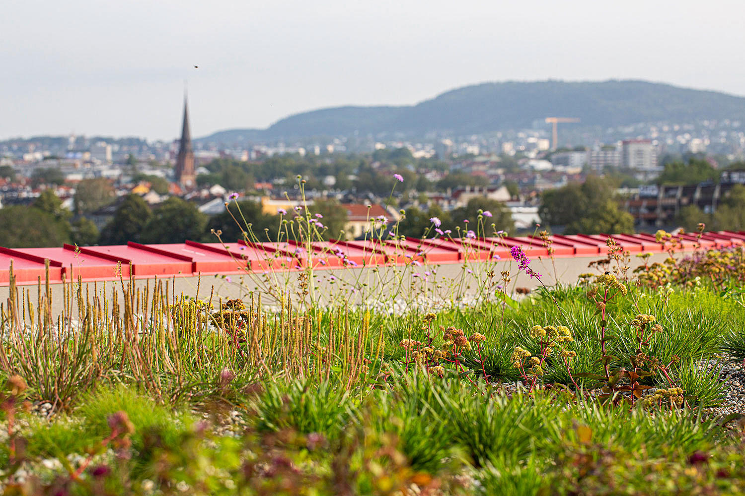Vega scene, blågrønt tak