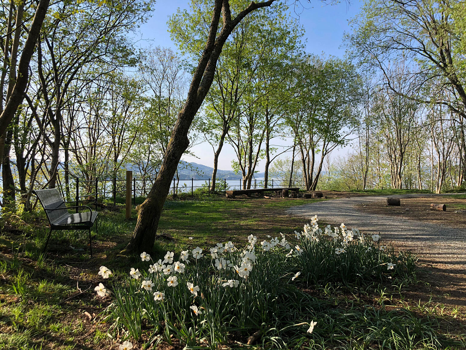 Universell utforming i kupert skogsterreng er løst gjennom strategisk plassering av funksjoner og elementer som gir mulighet for alle til å oppleve Lyreneset. Turveinettets hierarki er vist på skilt i adkomsten, og stigningsforhold er skiltet slik at turen kan planlegges ut fra funksjonsgrad og mobilitet. De store møte- og aktivitetssonene er plassert tett på ankomsten og lett tilgjengelig.