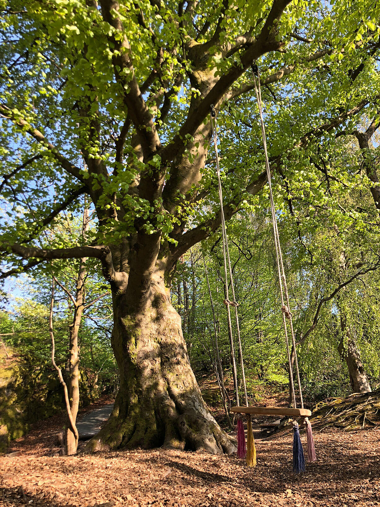 En huske m/fargerike dusker henger i det store eiketreet og skal gi assosiasjoner til nesets tidligere eiere med eksotiske handelspartnere; kryddermestere og parpalymakere..
