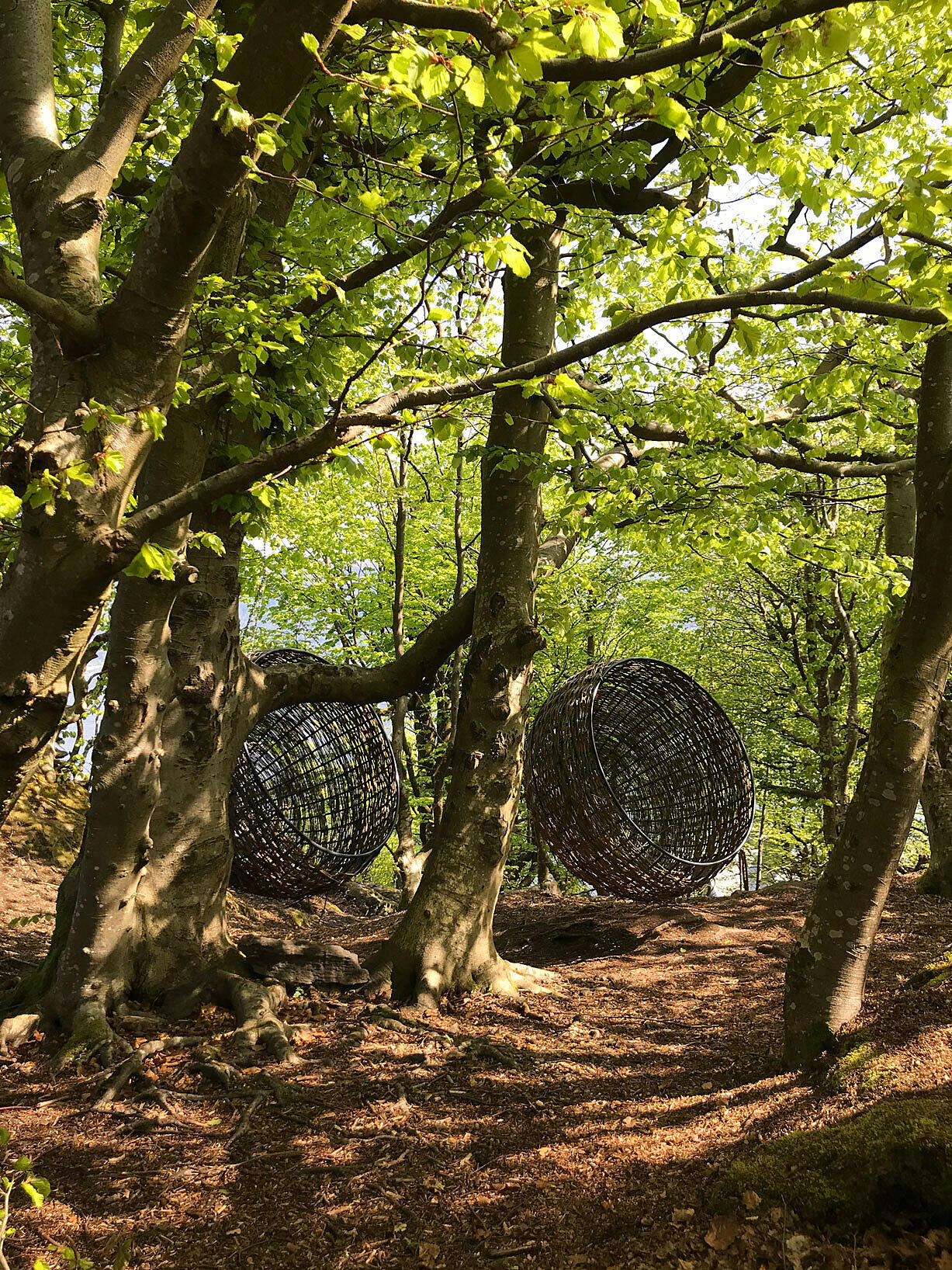 Kokongene på toppen skal gi en assosiasjon til Paraplymester Eriksen, her kan man sitte og se utover fjorden, ihvertfall når løvet har falt.